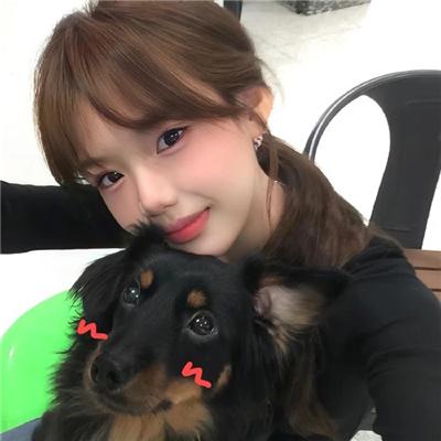 战火中的小狐狸